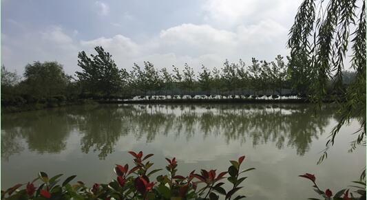 ���Ϸ���վ���¼��g�a�I�_�l�^**������e���޹�˾�����ټ��w�����ϵķ��ݡ���ľ����������Y�a�Ј��rֵ�u�����Ŀ����