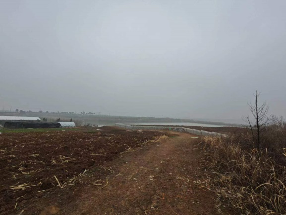 Ϸ******޹˾O(sh)λںϷзhͤ(zhn)Sٵ@(ni)깤Јrֵu